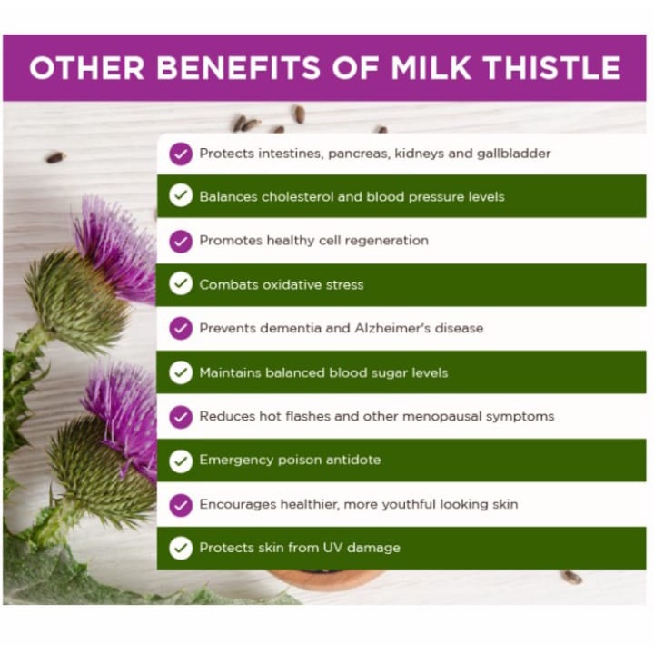 

ELIF TEA AND TISANE Milk Thistle Dandelion Tea Detox Liver Fatty Liver 30 Tea Bag