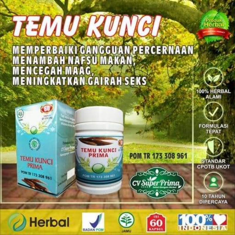 HERBAL TEMU KUNCI MENAMBAH .NAFSU MAKAN. MEMPERBAIKI PENCERNAAN.MENCEGAH MAG.MENINGKATKAN GAIRAH SEK