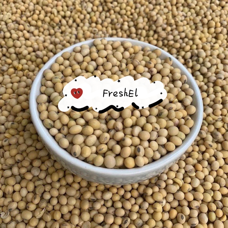 

FreshEl - KACANG KEDELAI 500gr