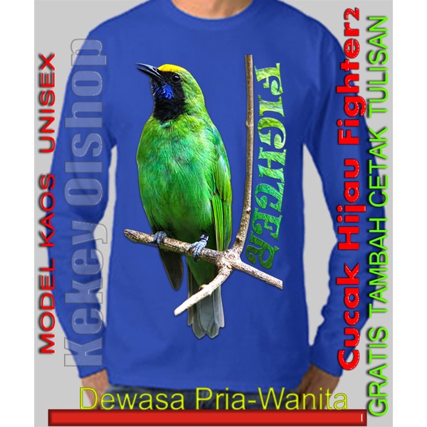 6400 Gambar Kartun Burung Cucak Ijo HD