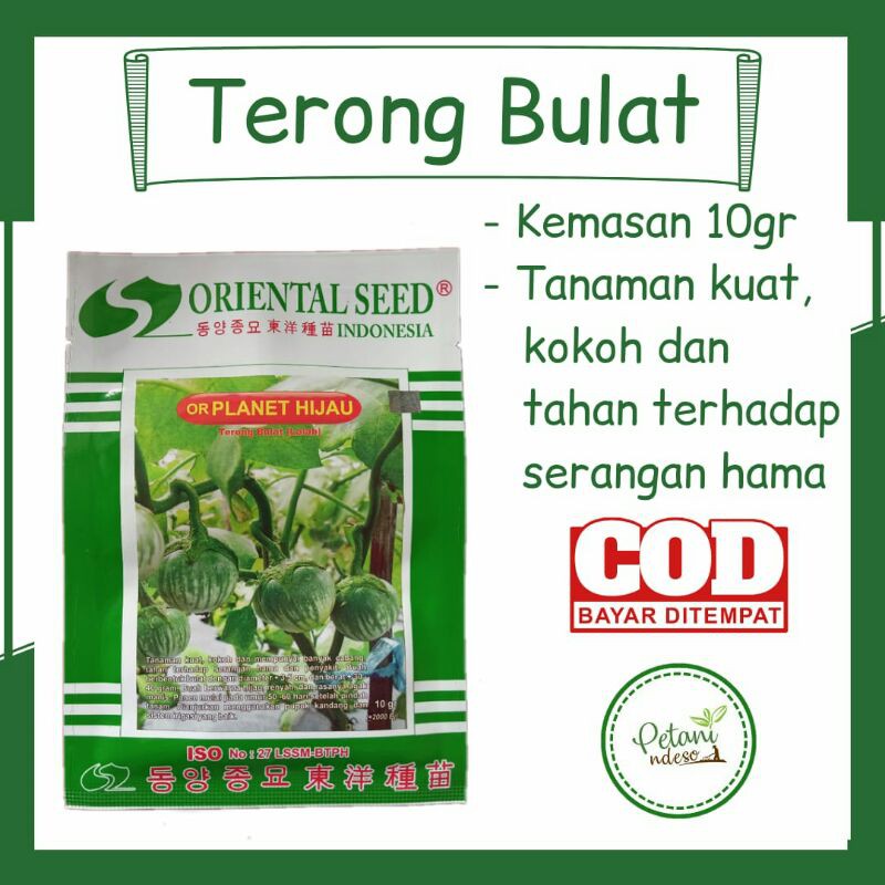 Biji Benih Bibit Tanaman Sayuran Sayur Buah Terong Terung Bulat Batik Lalap Hijau Lalapan Besar