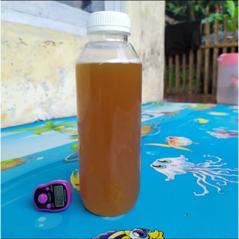 

Madu Odeng Hutan Tasikmalaha (500 ml) - madu asli - madu odeng 100% original - madu odeng asli