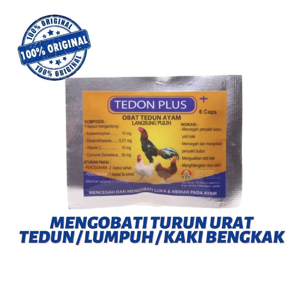 TEDON PLUS 6 kapsul - Mengobati Tedun Ayam (Langsung Pulih)