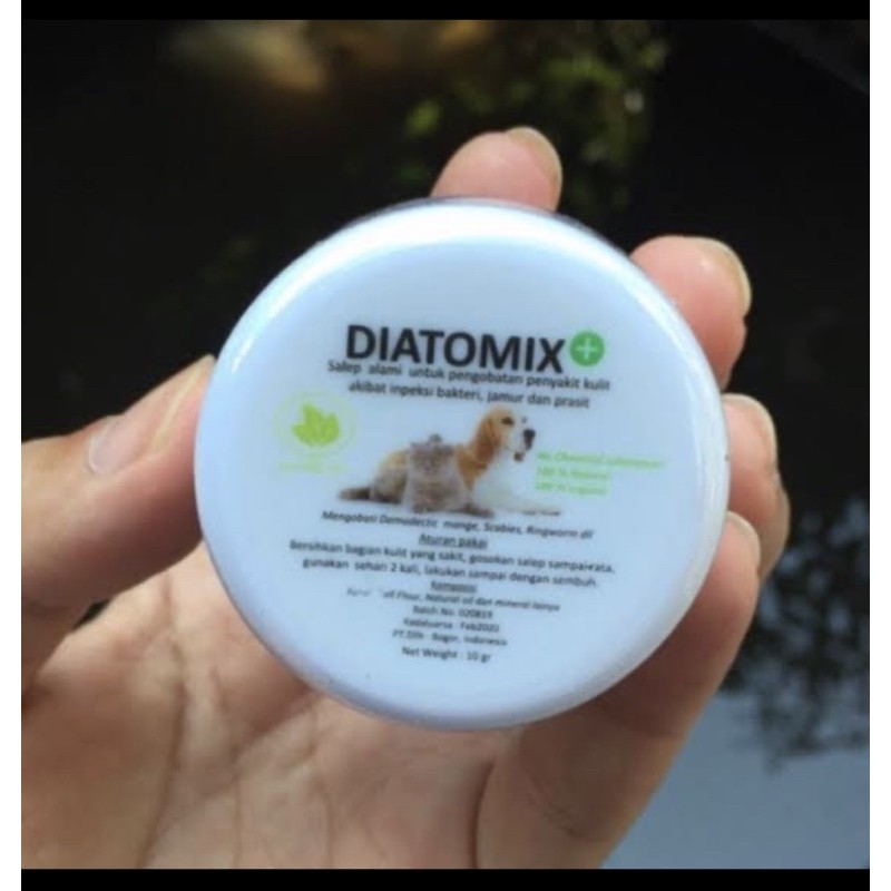 diatomix salep jamur scabies anjing kucing hewan kelinci burunv