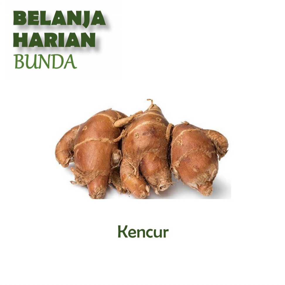 

kencur 250gr
