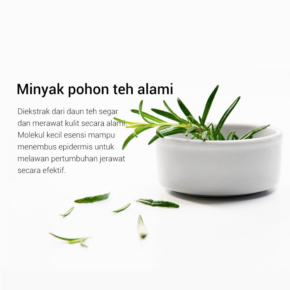 ALLPHV Acne Treatment Serum - Perawatan &amp; Penghilang Jerawat Wajah Versi baru (17 ml)