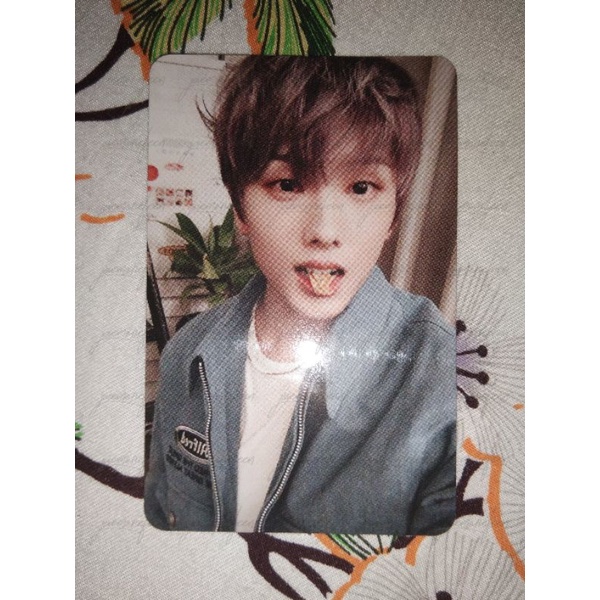 JISUNG BORING PAIR JISUNG CANDYLAB V2