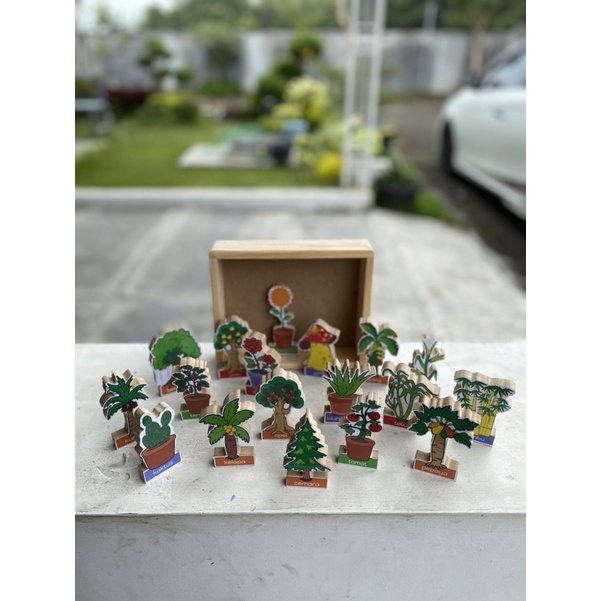 Mainan edukasi kayu Balok jenis tanaman