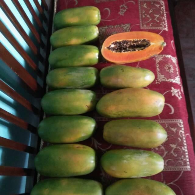 

Pepaya California Segar