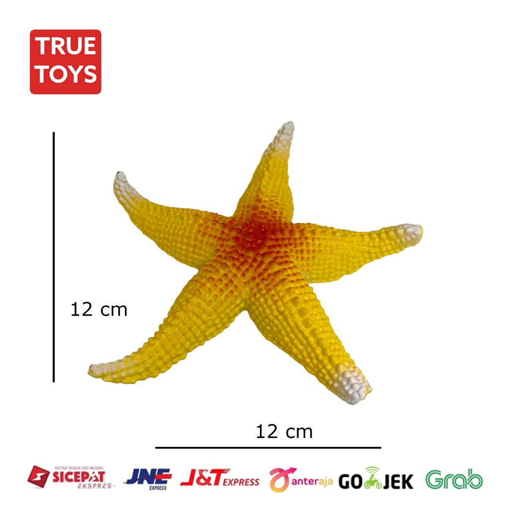 Miniatur Bintang Laut bahan PVC padat / Mainan miniatur hewan laut # TRUE TOYS