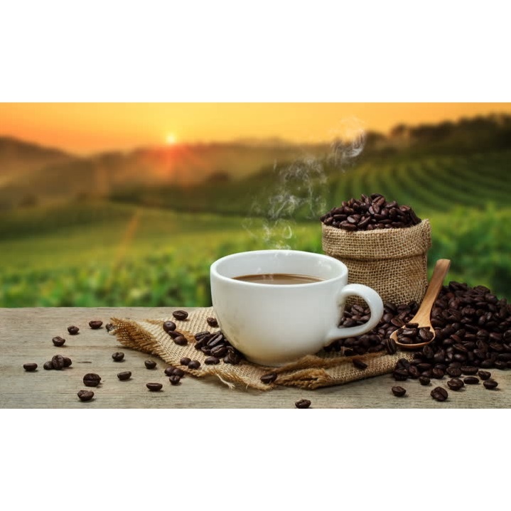

BUBUK KOPI Dampit 250gr ORIGINAL