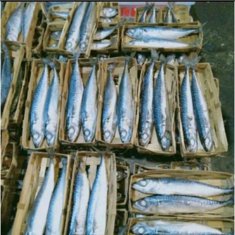 

ikan pindang keranjang ikan Cue keranjang