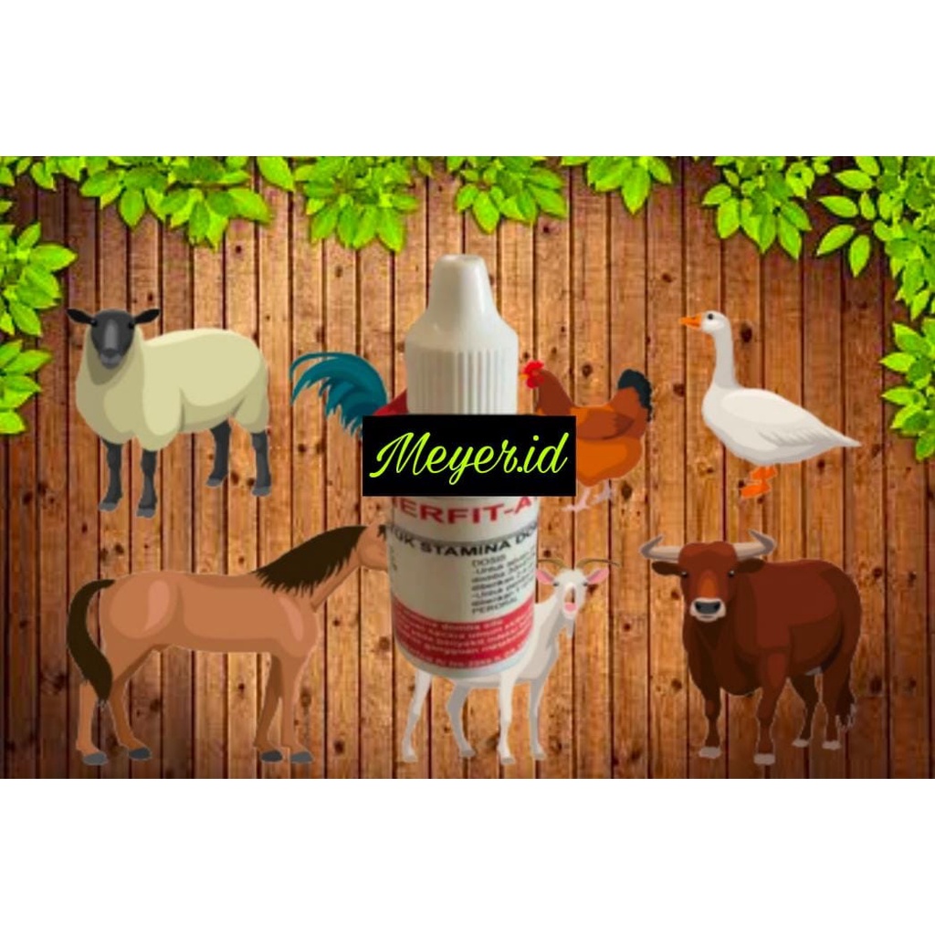 Enerfit ATP Oral Meyer 30ML - Obat stamina domba adu