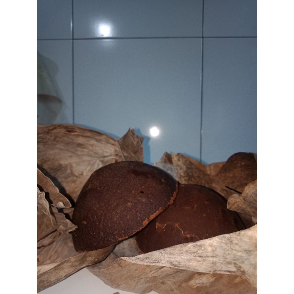

gula aren asli 100% harga/kg