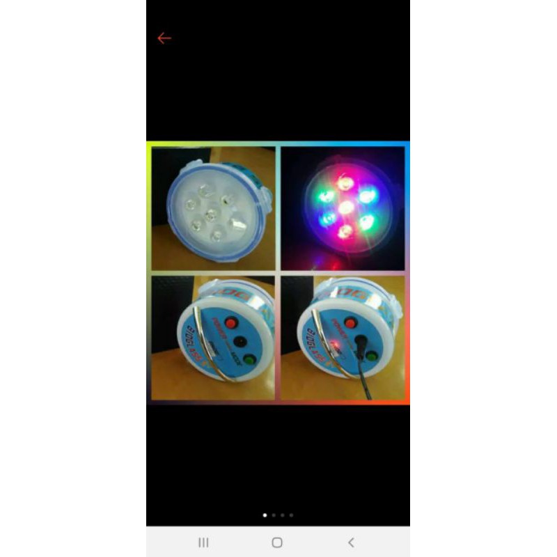 senter bioglass biomini