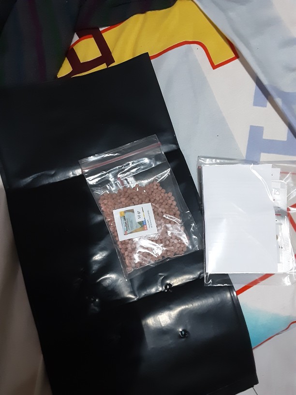 Biji Benih Paprika Mixed