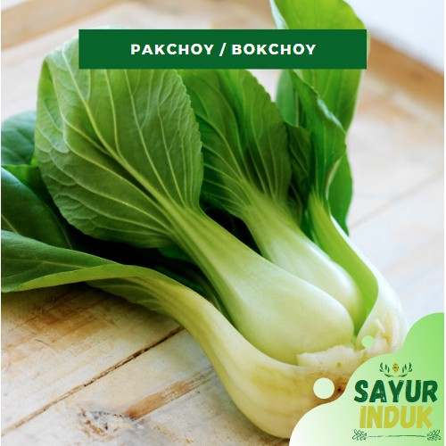 

Sayur Induk - Pakchoy 250 Gram Fresh Bok Choy Grade A Pak Choi