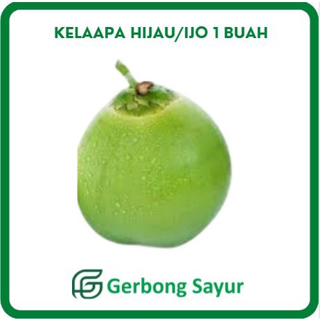 

Kelapa Hijau/ Kelapa Ijo 1 Buah Utuh Segar