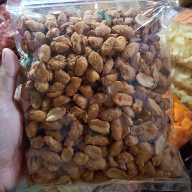 

Kacang bangkok