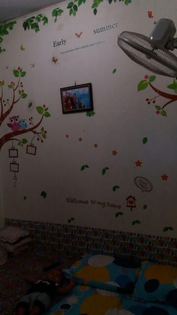 Ay901 Early Summer Wallsticker Wall Stiker 60x90