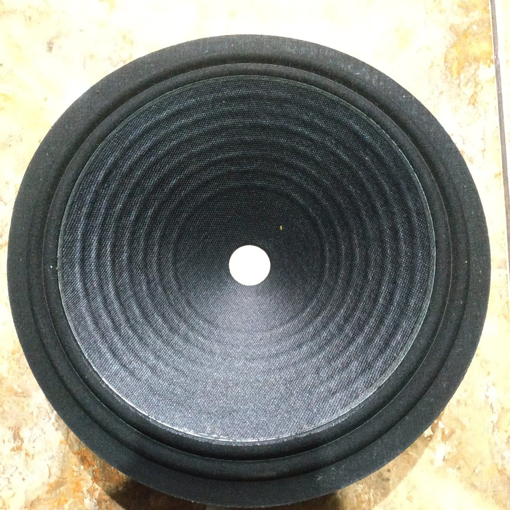 Daun Speaker 10 inci full range