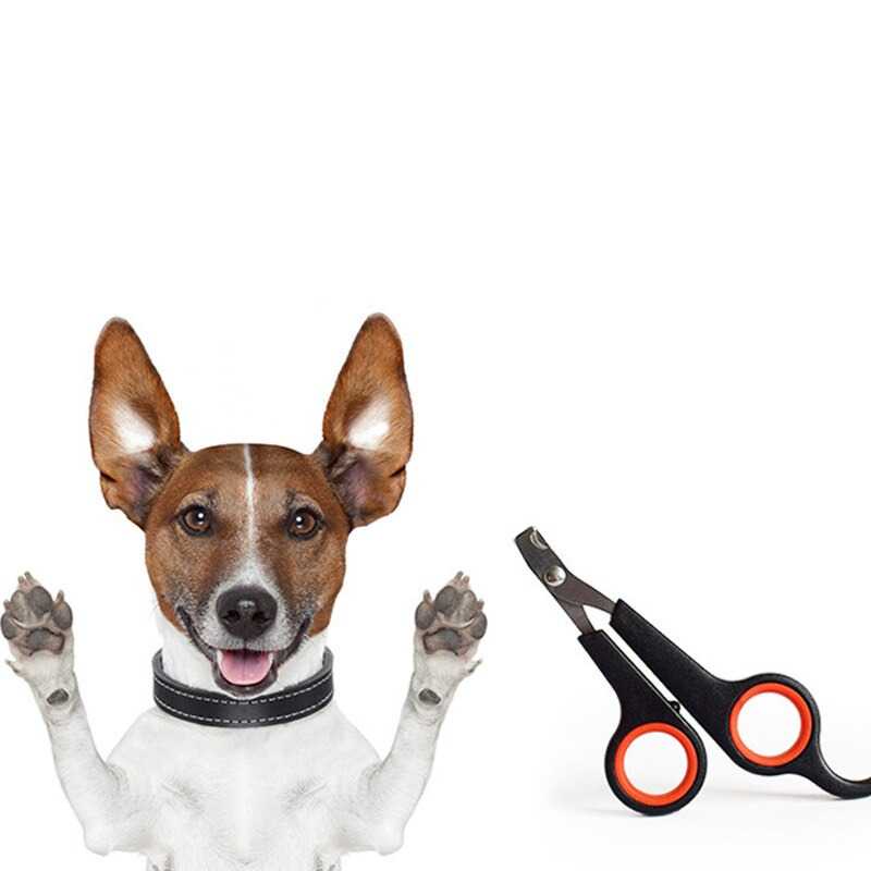 Gunting Kuku Anjing Kucing Stainless Steel Pet Nail Clipper