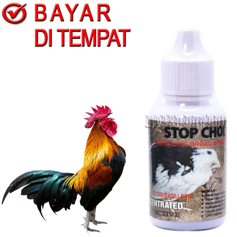 OBAT AYAM SAKIT FLU OBAT AYAM DIARE ANTIBIOTIK AYAM SAKIT