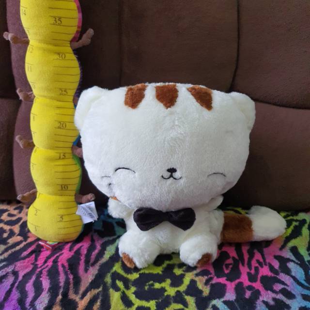 Kucing Ganteng (preloved)