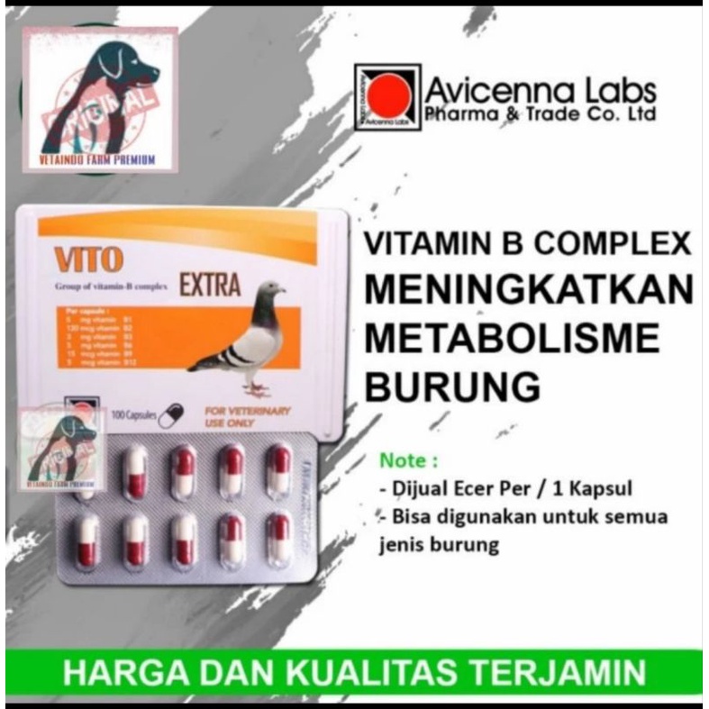 VITO EXTRA AVICENNA LABS VITAMIN B COMPLEK  METABOLISME BURUNG MERPATI