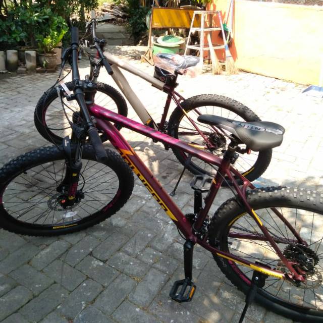 Polygon premier 4 size M dan L