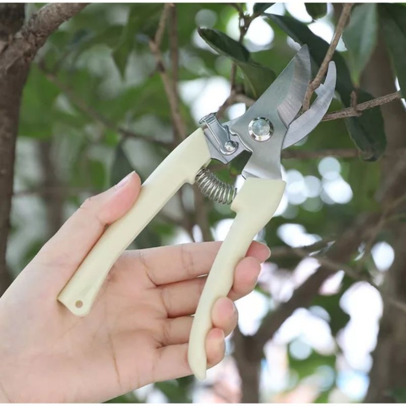 Gunting Dahan Ranting Pruning Alat Potong Dahan Ranting Stek Pruning Shears
