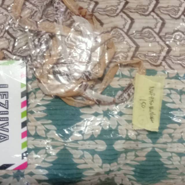 Tunik plisket import