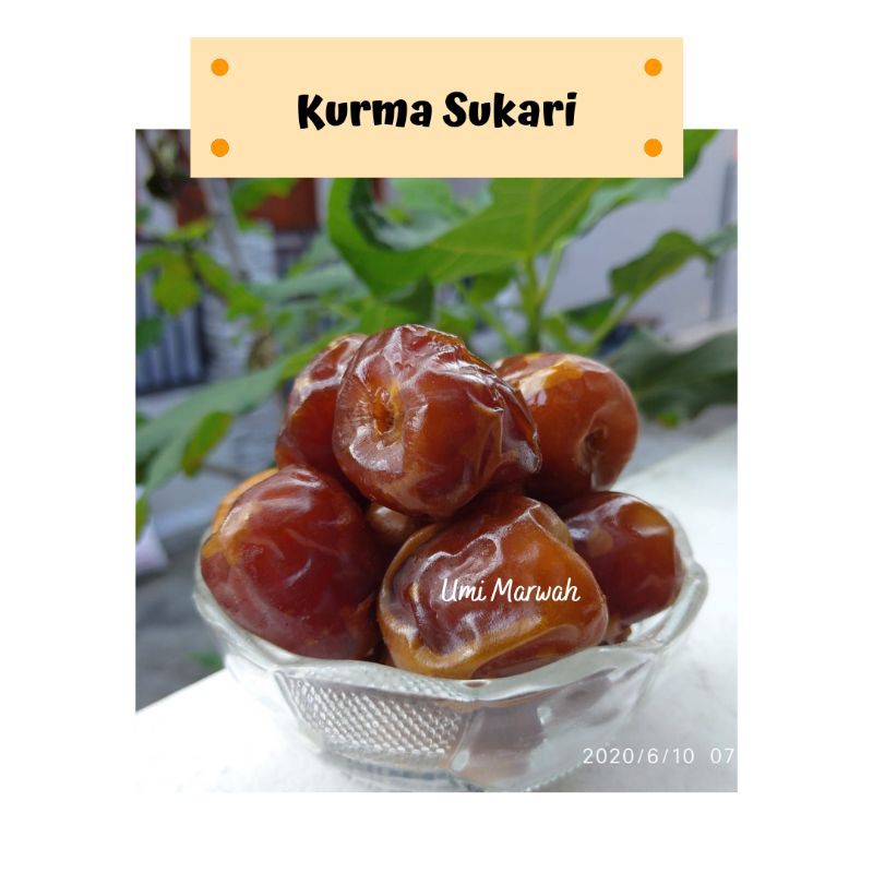 

Kurma Sukari 500gr Premium Quality