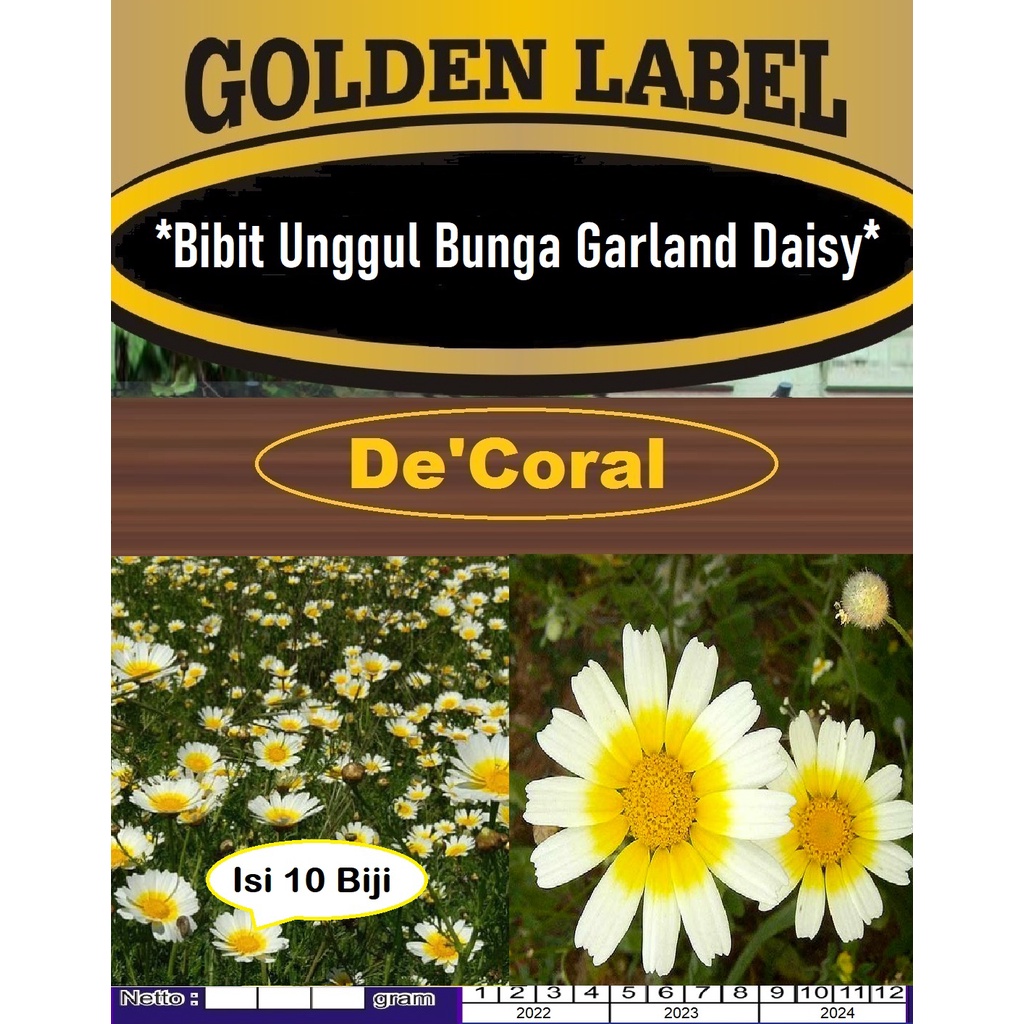 Bibit Unggul Bunga Garland Daisy|Benih Bunga Garland Daisy|Bunga Daisy