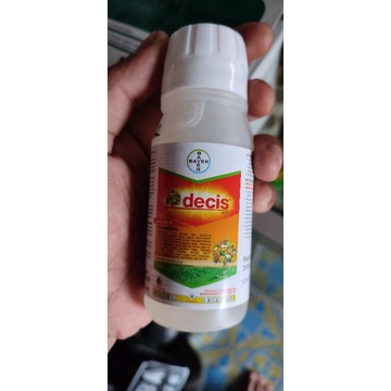 OBAT HAMA | DECIS 100 ML