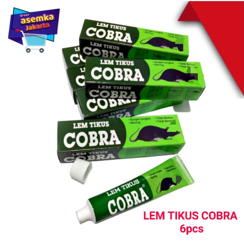 Lem Tikus Cobra 6pcs Lem Tikus lengket basmi Tikus Grosir