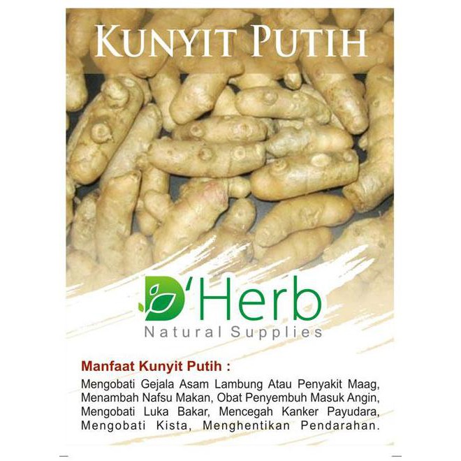 

D'Herb Tepung / Rimpang KUNYIT PUTIH 100 Gram