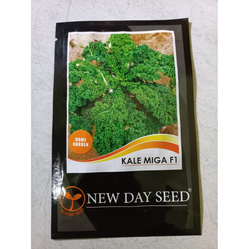 Benih Kale Miga F1 New Day Seed