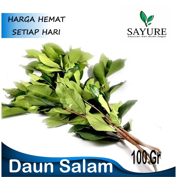 

DAUN SALAM 100 GR