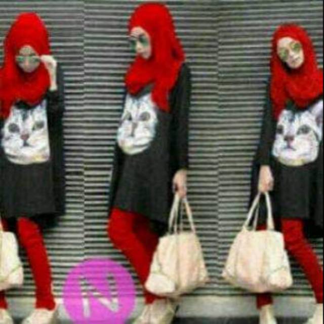 

Cat set