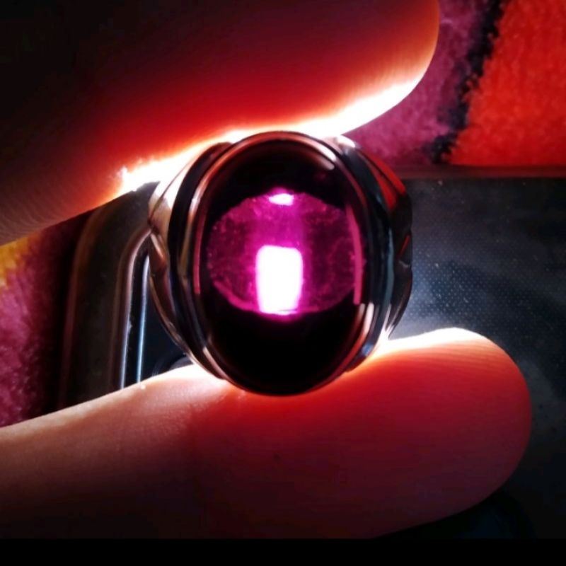 KECUBUNG WULUNG HITAM PEKAT DI SENTER TEMBUS UNGU