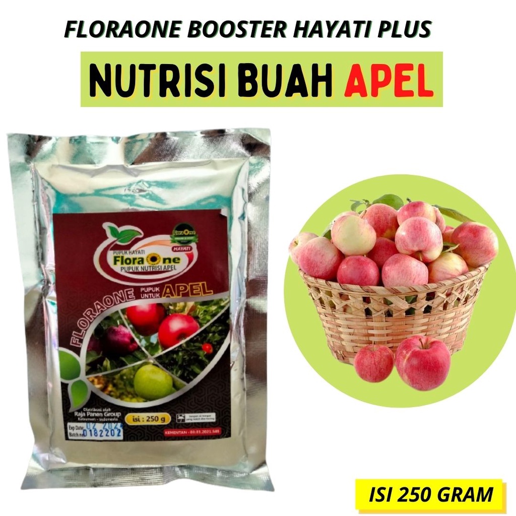 Booster Hayati pohon Apel Malang, Pupuk Nutrisi Tanaman Buah apel Fuji Berbuah Lebat
