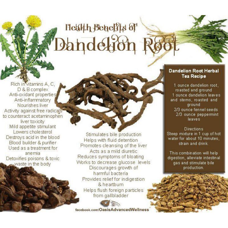 Dandelion Root Tea / Organic Detox Dandelion Root Tea (50 Gram)