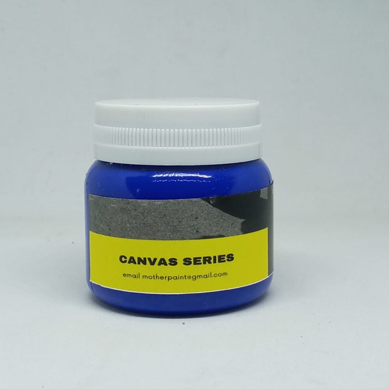 cat sepatu topi tas canvas pro biru