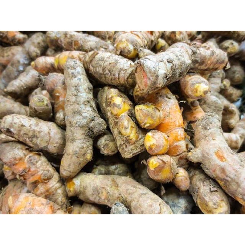 

Kunyit Fresh 1Kg