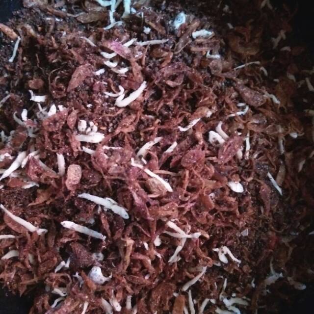 

Trasi bawang rasa teri