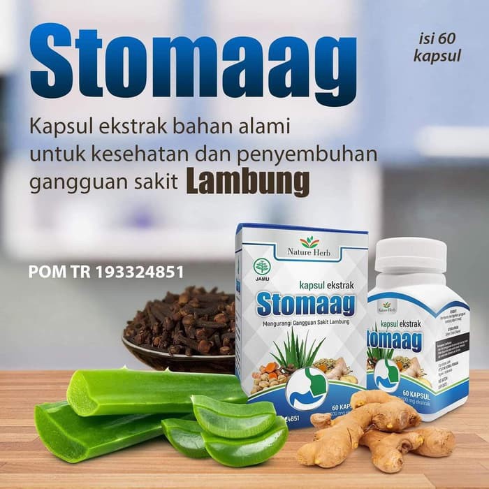 Kapsul Ekstrak Stomaag Herbal Atasi Maag Kronis Gerd Gangguan Asam Lambung Isi 60 Kapsul