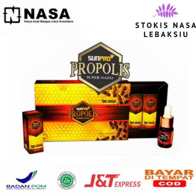 SUNPRO NANO PROPOLIS NASA PT. NATURAL NUSANTARA