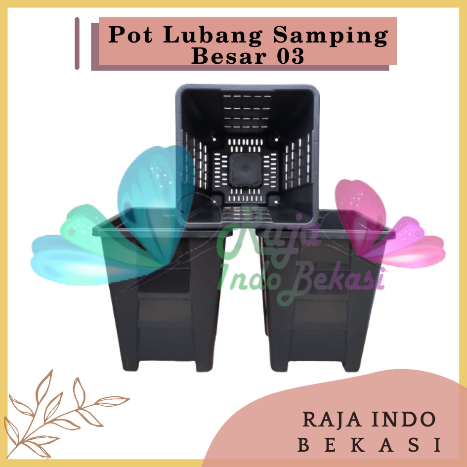 Pot Kotak Tinggi Lubang Samping Besar 03 Putih Hitam Orange Coklat Pot Aglonema Kaktus Besar Tinggi Murah 15 17 25 30 Pot Kotak Persegi Panjang Besar Tinggi - Pot Sinovac 01 02 03