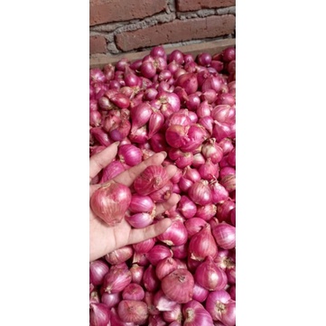 

bawang merah probolinggo